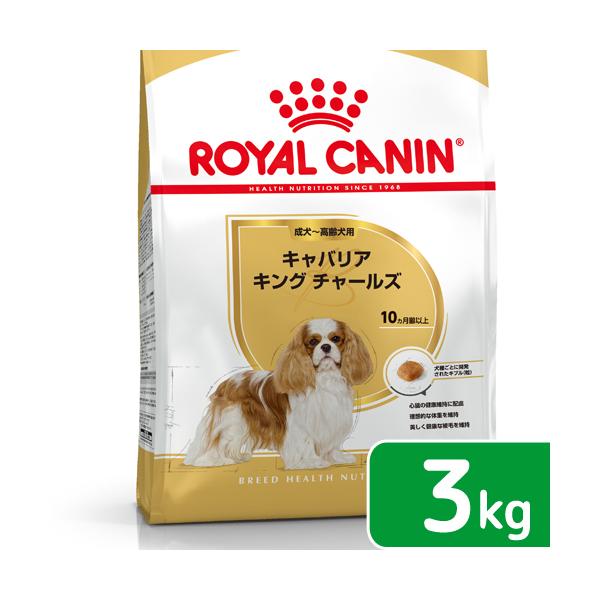 ロイヤルカナンキャバリア」の人気商品一覧 | 安い商品を通販サイト