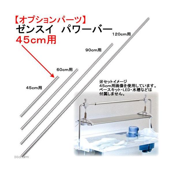 񂹏i@[XC@p[o[@STp@P{