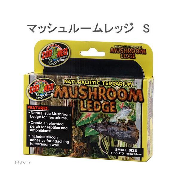 ynnldc@}bV[bW@r@঒ށ@CAEgpi@oXLO