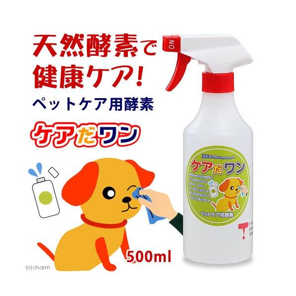 GREGNZg@PA@TOO@@L@܂₯@ڂɑ΍