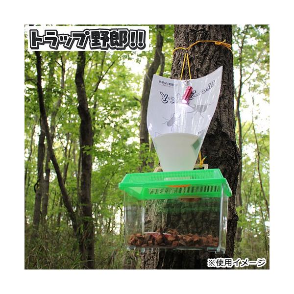 ミタニ トラップ野郎 カブト虫 クワガタ虫 昆虫採集 Buyee Buyee Japanese Proxy Service Buy From Japan Bot Online