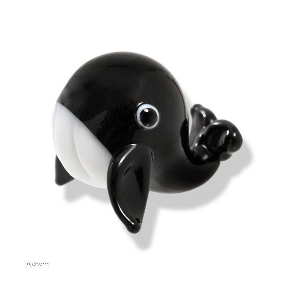 メーカー：グラススクエア アクアリウム用品　_aqua　グラスコレクション　プチシリーズ　「クジラ　ブラック　」　クジラ　インテリア　置物　ガラス　20130823　MTK　日用品　_interior　_daily　opa2_delete　...