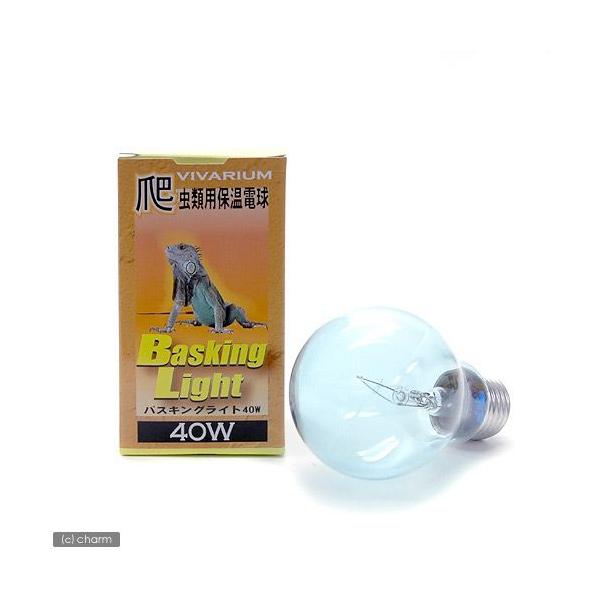 |SiENu@roE@oXLOCg@SOv@঒ށ@ۉ@Cg