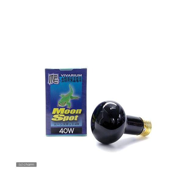 |SiENu@roE@[X|bg@SOv@঒ށ@ۉ