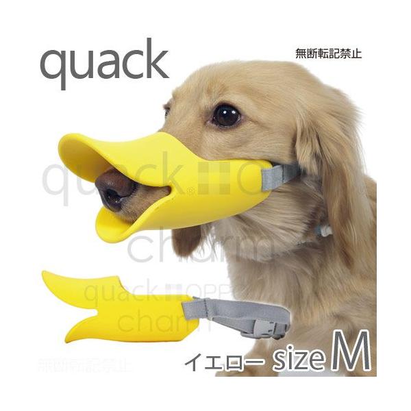 メーカー：テラモト 犬用品　しつけ用品　ＯＰＰＯ　ｑｕａｃｋクァック　Ｍ　イエロー　犬　口輪　ムダ吠え防止　噛み癖　拾い食い　ダックスフント　ミニチュアピンシャー　小型犬　20131121　OKB　_dog　ｑｕａｃｋ　movie_1266...