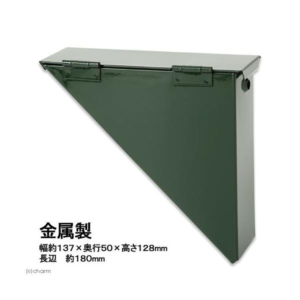 蝶の標本セット 1987年採集 蝶の標本セット 1987年採集 蝶の標本セット 1987年採集 蝶の