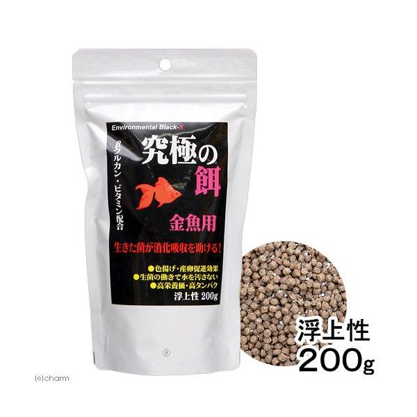 a|@ɂ̉a@p@QOO@̂@̉a