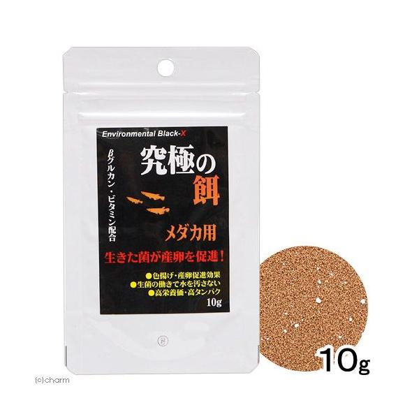 a|@ɂ̉a@_Jp@PO@_J̉a