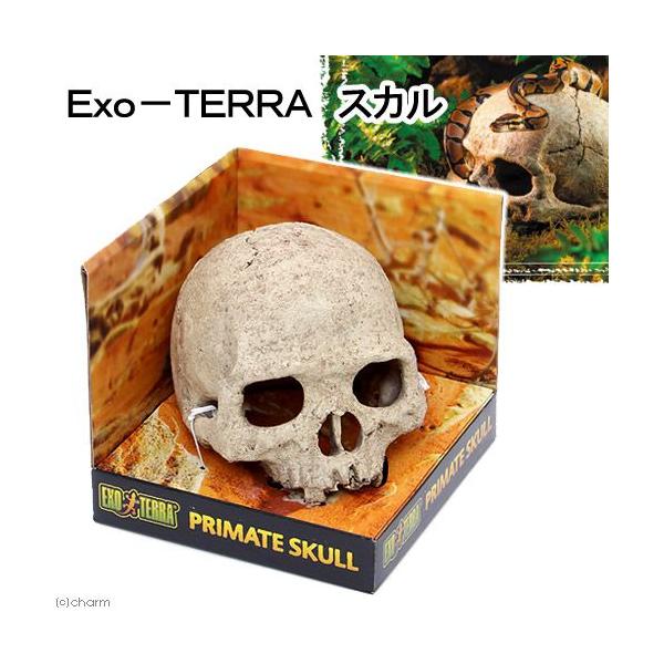 fdw@GL]e@XJ@঒ށ@CAEgpi@BƁ@oXLO