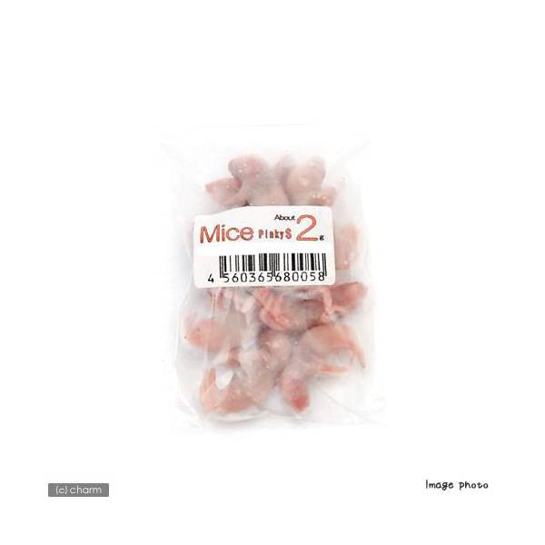 ⓀriPOCj@J^{B@lQ@ⓀsN}EX@pbN@Ⓚ}EX@ʓrN[萔@퉷is