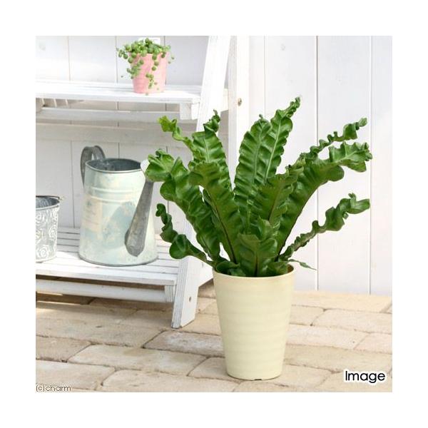 iϗtAjV_@AXvjE@vJ[c@AJL@SiPj