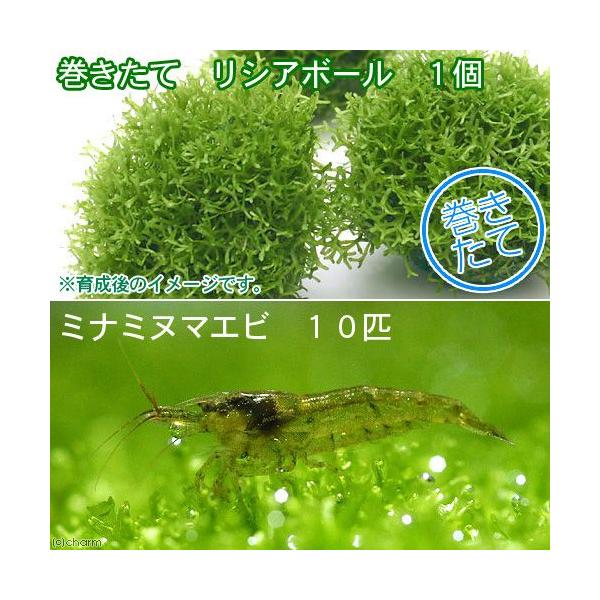 iGrjijā@VA{[itji_jiPj{~i~k}GriPOCj@kCEBq֗vۉ