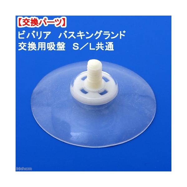 roA@oXLOh@pzՁ@r^kʁ@LXS@p[c