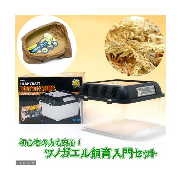 cmKGZbg@ۂDî݁j@JG