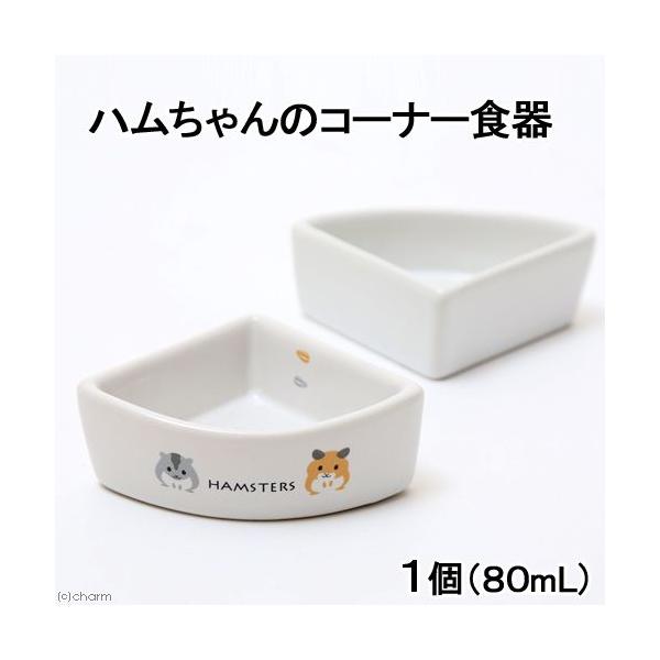 }J@ñR[i[H@WO@nX^[@GTM@