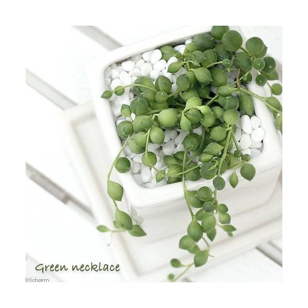 iϗtAjO[lbNX@픫A@_CXriPj@Mt@΁@A@@@v[g