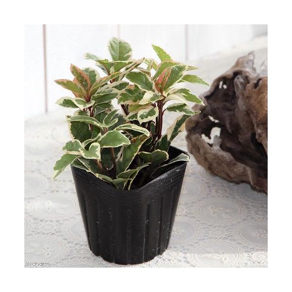 iR쑐j~́@\@胄uREWiMqj@RiP|bgj