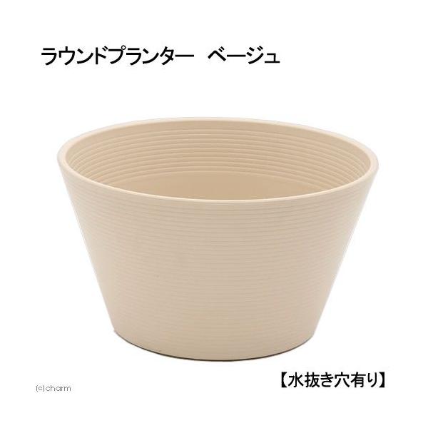 v^[@Ehv^[@x[W@aSS@QT@QRk@yʂPDQAɂAȌ݂PDQ@llP_