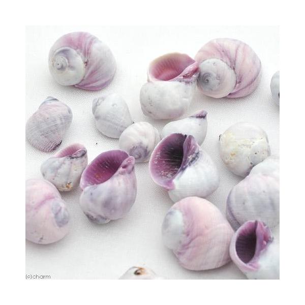 Lk@VFRNV@p[vVFiN`TLTShj@TO