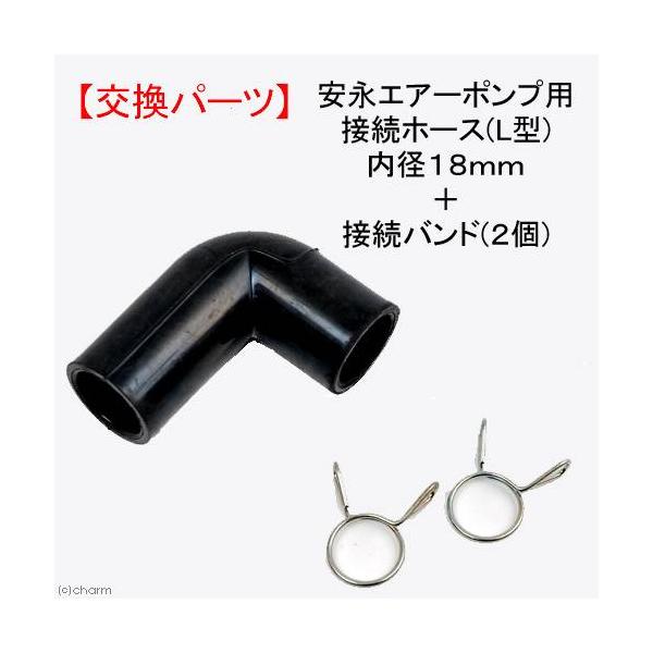 iGA[|vpڑz[Xik^jaPW{ڑz[XohiQj