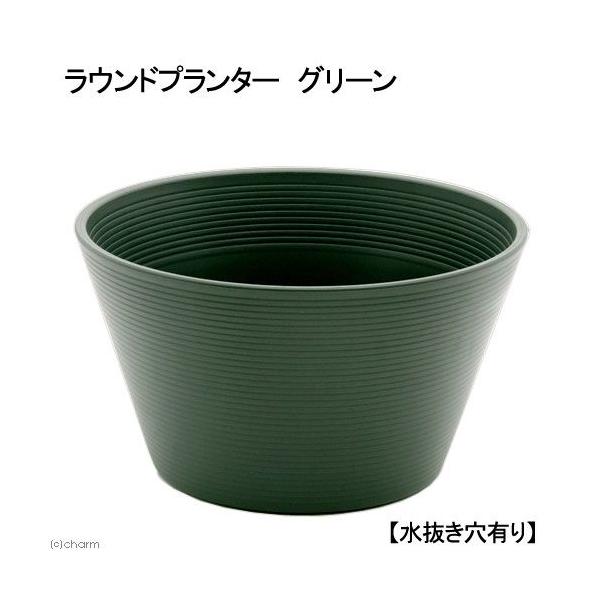 v^[@Ehv^[@O[@aSS@QT@QRk@yʂPDQAɂAȌ݂PDQ@llR_