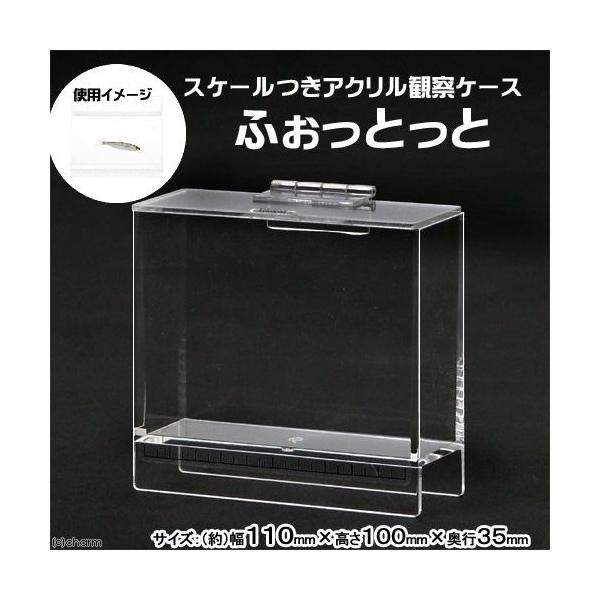 ӂƂƁ@iPPO×POO×RTj@ώ@@Be@P[X