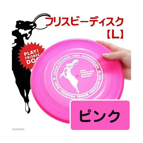 @@XJChbO@tXr[fBXN@k@sN