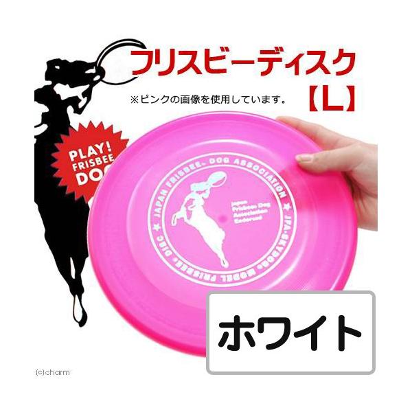 @@XJChbO@tXr[fBXN@k@zCg