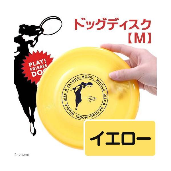 @@XJChbO@tXr[fBXN@l@CG[