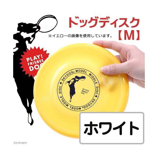 @@XJChbO@tXr[fBXN@l@zCg