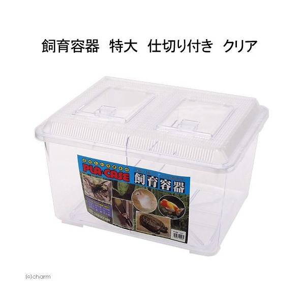 大サイズ 通気性虫かご プラスチック製 楽天市場】プラケース 飼育容器 スーパー特大 クリア（幅500