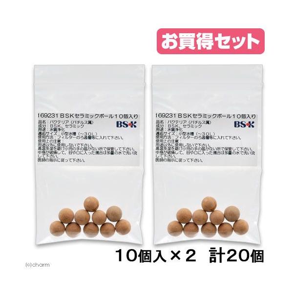 oNeAt@arjZ~bN{[@PO×Q܁@WECp@@Mы@oNeA