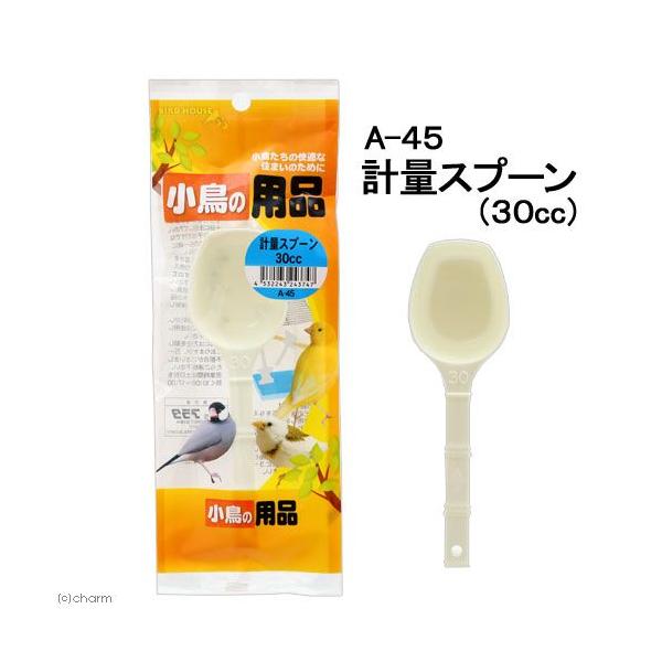 A^@ahqc@gntrd@`|ST@̗pi@vʃXv[RO@@H