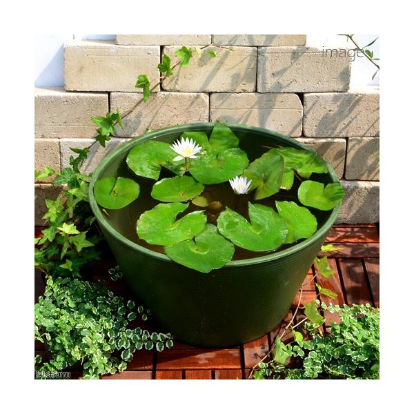 irIg[vji߂jSҌ@@ňĂ@_JZbgiO[jѐXC{Ђ߂UC@t@{Bl@Zbg