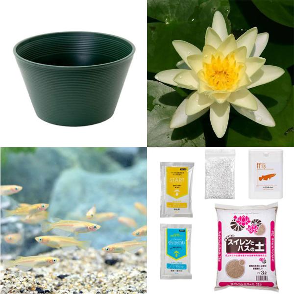 irIg[vji߂jSҌ@@ňĂ@_JZbgiO[jѐXC{Ђ߂UC@t@{Bl@Zbg