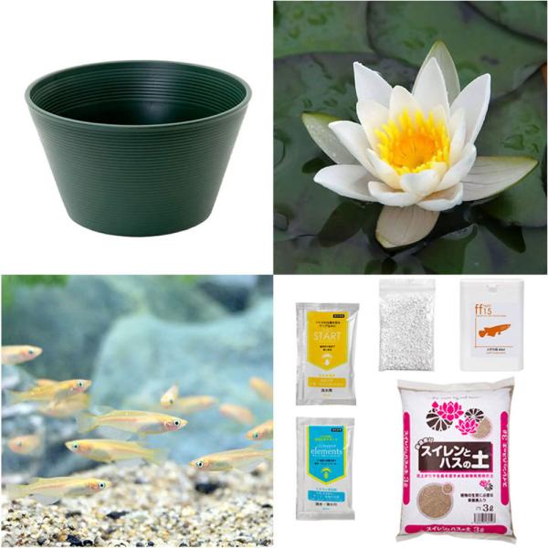 irIg[vji߂jSҌ@@ňĂ@_JZbgiO[jPXC{Ђ߂UC@t@{Bl@Zbg