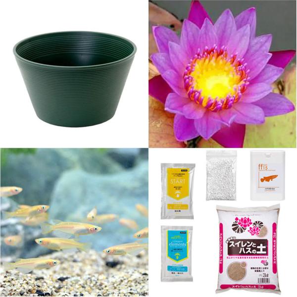 irIg[vji߂jSҌ@@ňĂ@_JZbgiO[jMѐXC{Ђ߂UC@t@{Bl@Zbg