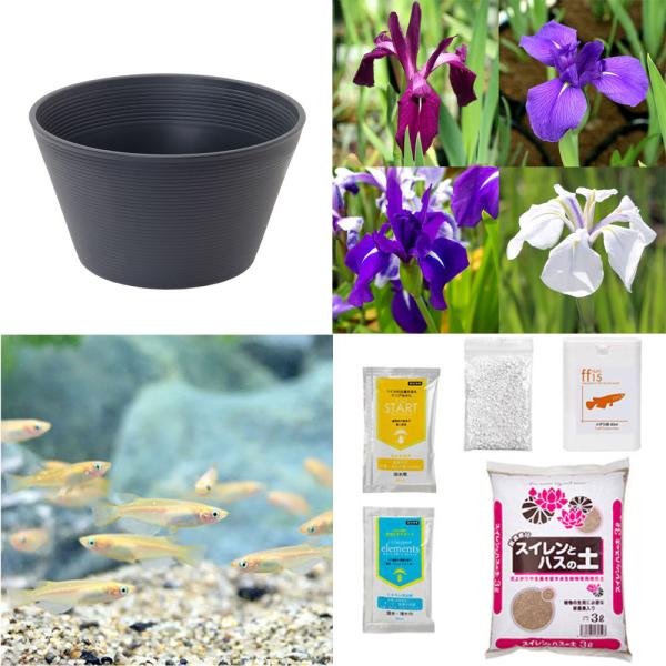 irIg[vjSҌ@@ňĂ@_JZbgiO[jJLco^{Ђ߂UC@{Bl@Zbg@CAEg@_JZbg