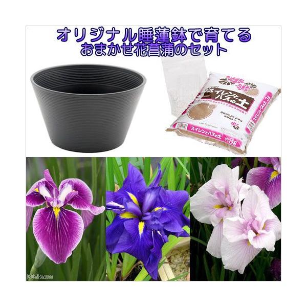 irIg[vjSҌ@vl@ňĂ@ԏҊ̃ZbgiO[j{Bl