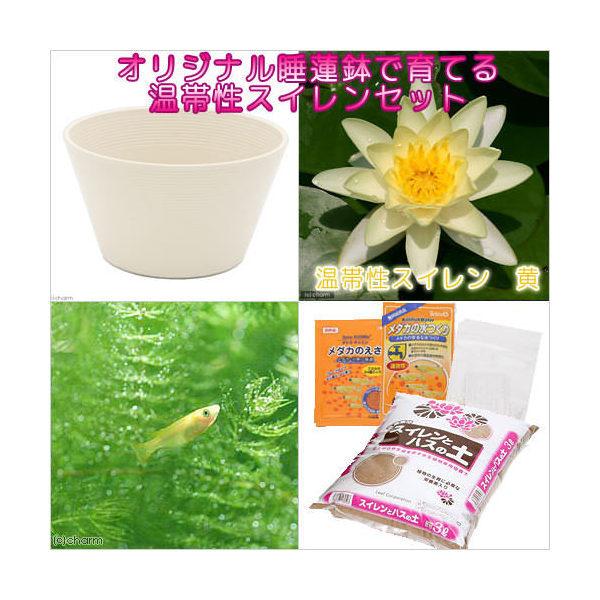 irIg[vji߂jSҌ@@ňĂ@_JZbgizCgjѐXC{Ђ߂UC@t@{Bl@Zbg