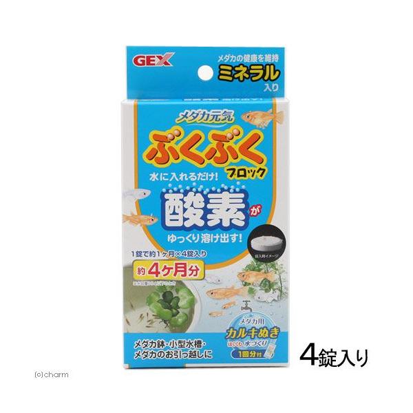 fdw@_JCԂԂubN@_J@_f