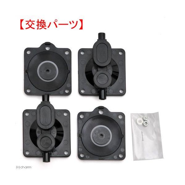 idGA[|vxo|U``QO`p@`o[ubN@p[c