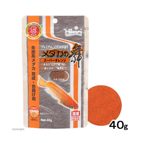 L[@_J̕@X[p[IW@SO@_J̉a@Ԍn_J@Fg@llTO_