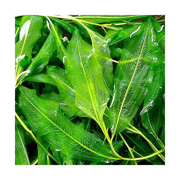 ij|^Qg@[PXitji_jiP{j