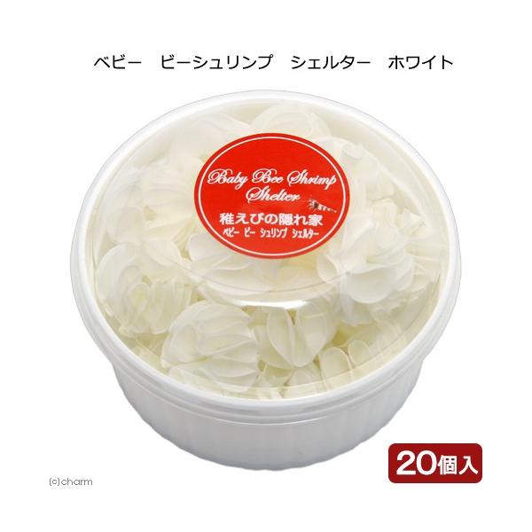 xr[@r[Vv@VF^[@QO@zCg@tGr̉B