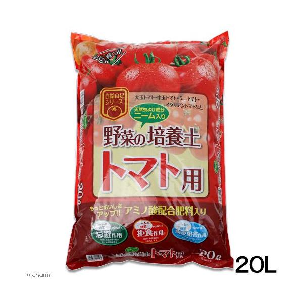 ؂̓y@˃ԉ@؂̔|{y@g}gp@QOkiPPj@|@|{y@K[fjO@llQ_