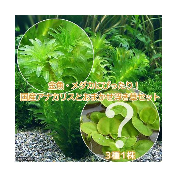 ij_JE@Y@_AiJXiT{j{܂Ri_jiPj