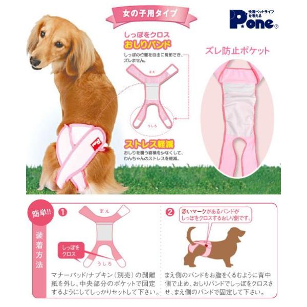 国産 女の子のためのマナーホルダー ３ｌ 犬 ウェア サニタリーパンツ おもらし ペット 関東当日便 Buyee Buyee Japanese Proxy Service Buy From Japan Bot Online