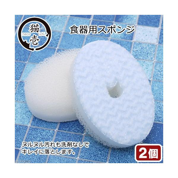 X|W@Hp@L@kk܂ȂŃLCɗƂHpX|W@Q