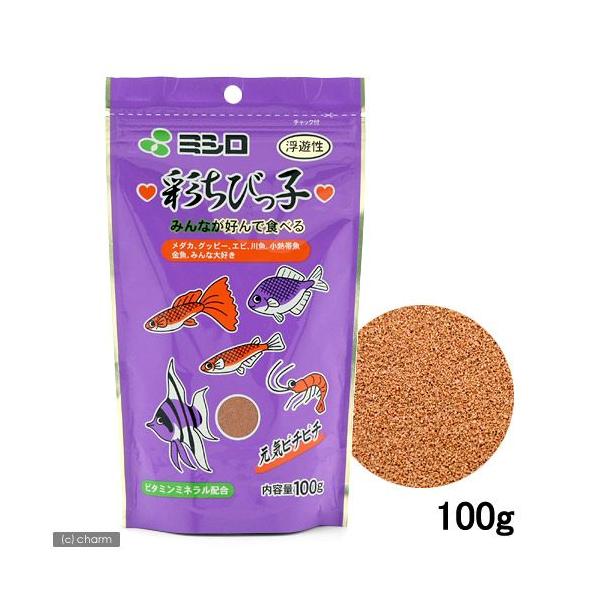 ʂтq@ɏ@V@POO@̂@̉a